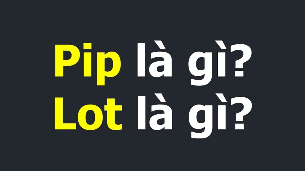 Pip – Lot là gì?