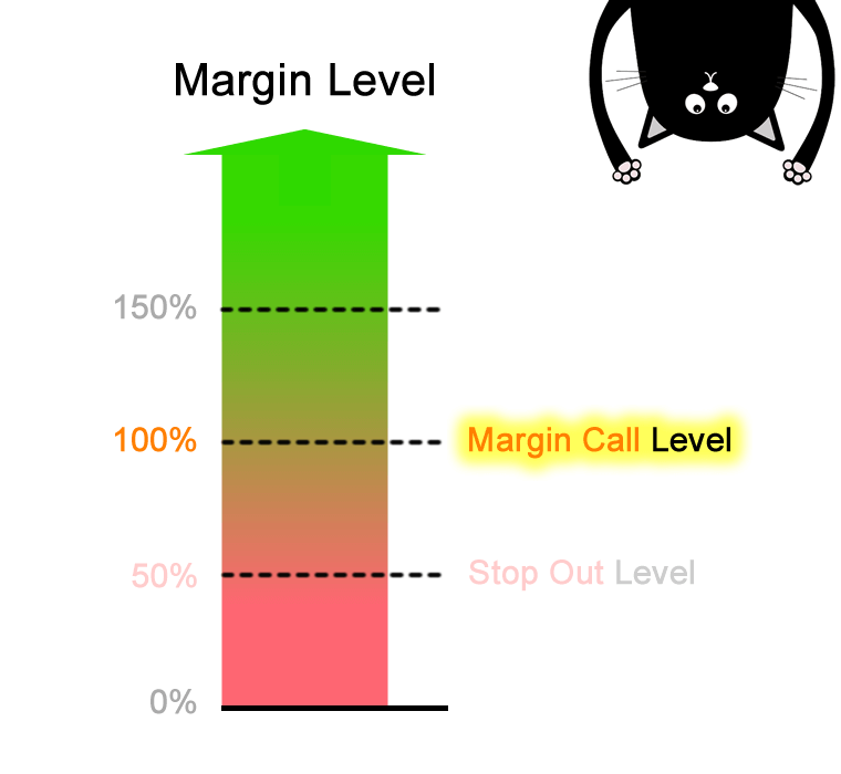 Ví dụ nếu mức ký quỹ trong tài khoản của bạn giảm xuống 100% hoặc thấp hơn, Margin Call sẽ xảy ra