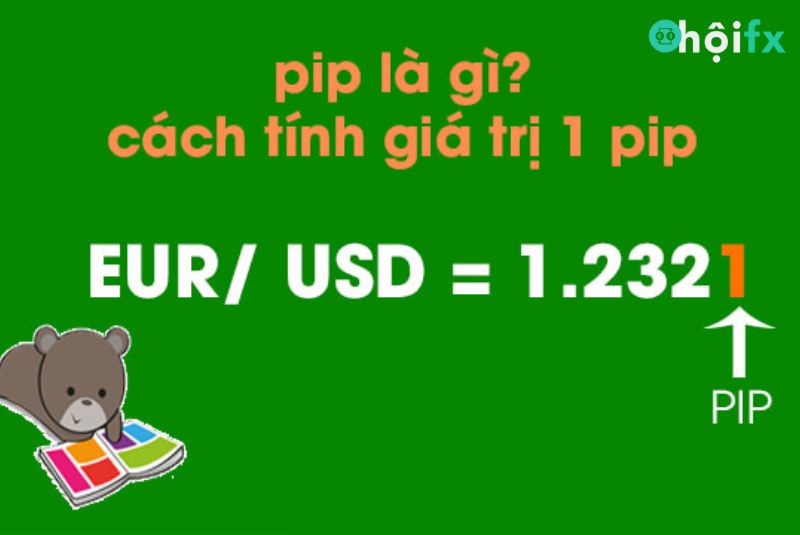 Pip là gì