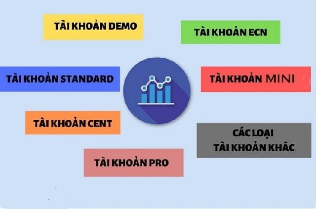 Các loại tài khoản Forex được phân chia theo các tiêu chí khác nhau