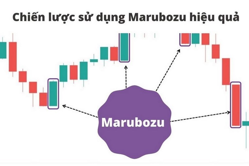 Giao dịch đa dạng cùng nến Marubozu