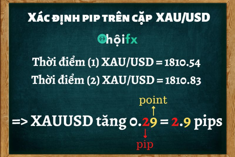 giá trị 1 pip của vàng