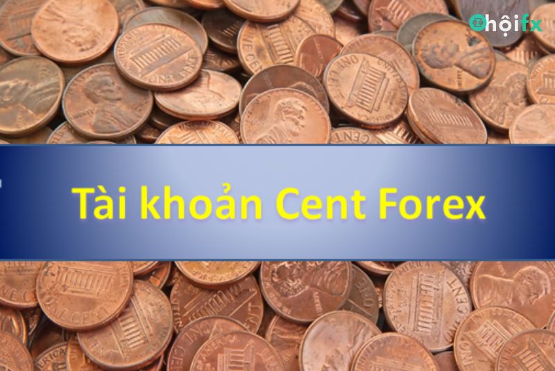 Tài khoản Cent là gì, Trader đã biết?