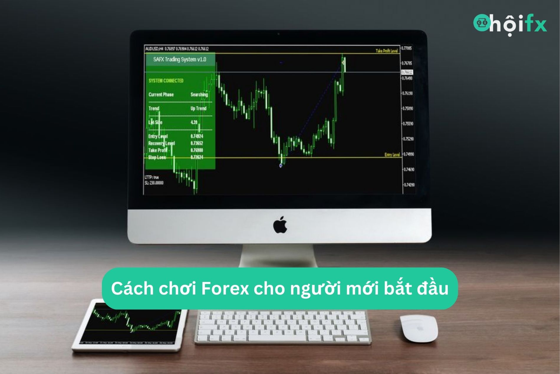 Hướng dẫn cách chơi Forex cho người mới bắt đầu