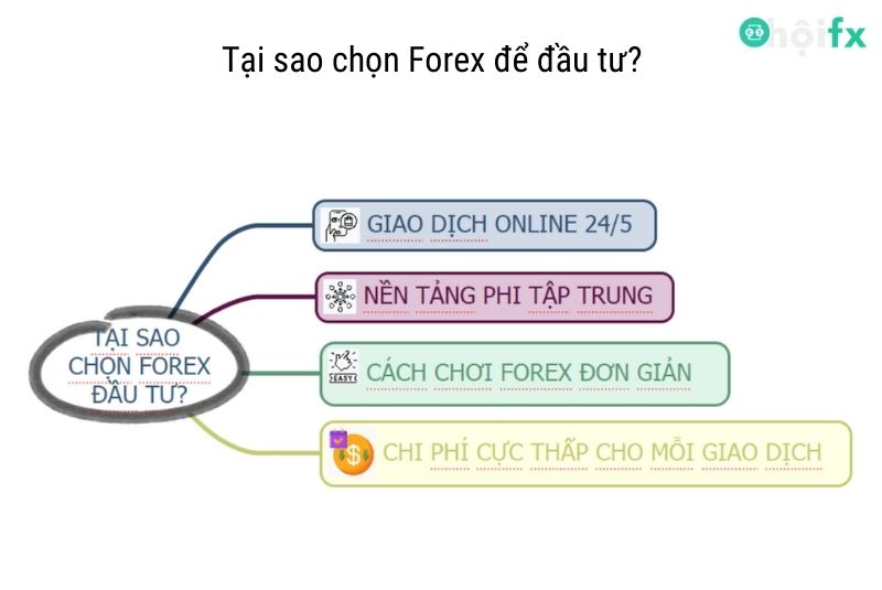 tại sao chọn forex đầu tư cho người mới