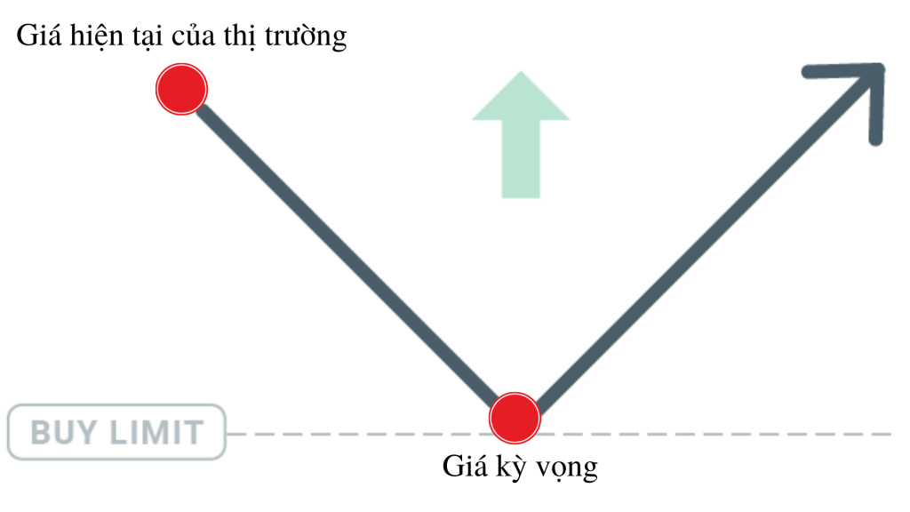 Giới thiệu về lệnh Buy Limit trong giao dịch Forex