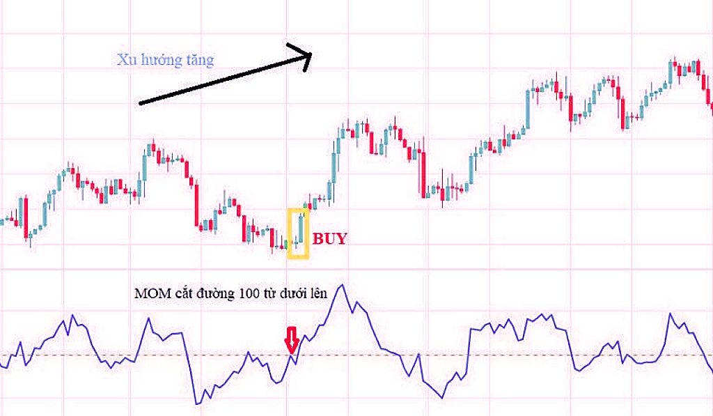 Giao dịch đường 100 cắt Momentum