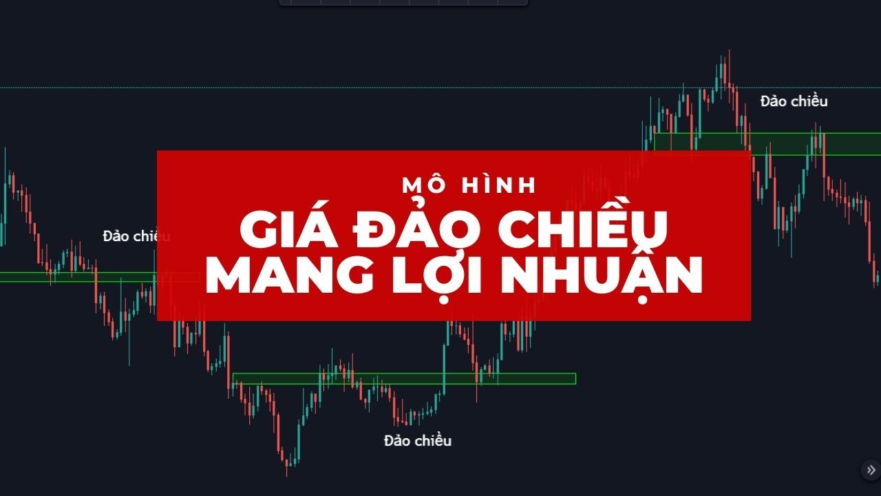 tổng hợp mô hình giá